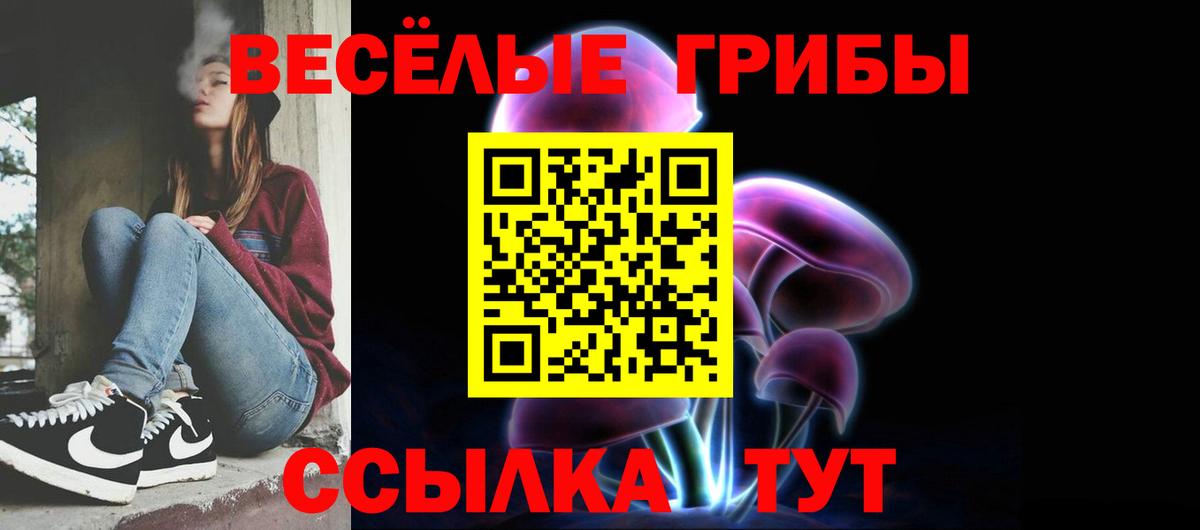 Галлюциногенные грибы MAGIC MUSHROOMS  Вход с VPN  Ртищево 