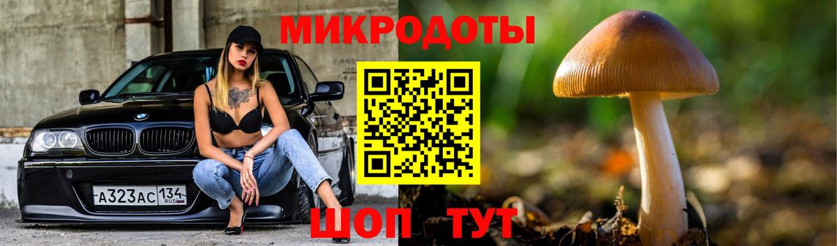 Галлюциногенные грибы Cubensis Ртищево